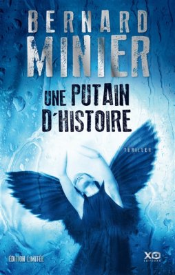 Couverture de Une Putain d'histoire