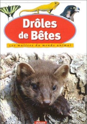 Couverture de Drôles de bêtes