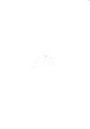 Couverture de Chroniques secrètes de la résistance dans le sud-ouest