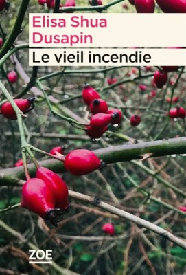 Couverture de Le vieil incendie