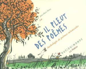 Couverture de Il pleut des étoiles