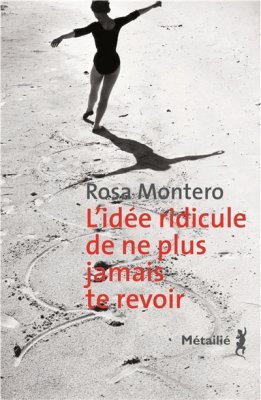 Couverture de L'idée ridicule de ne plus jamais te revoir