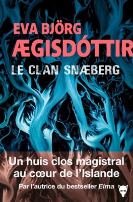 Couverture de Le Clan Snaeberg